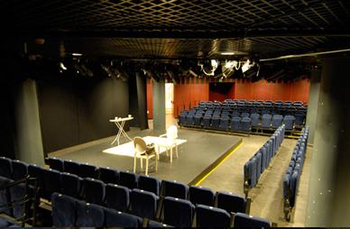 Sala María Guerrero (Fuente: https://nuevoteatroalcala.com/ [Consultado el 15 de abril de 2020])